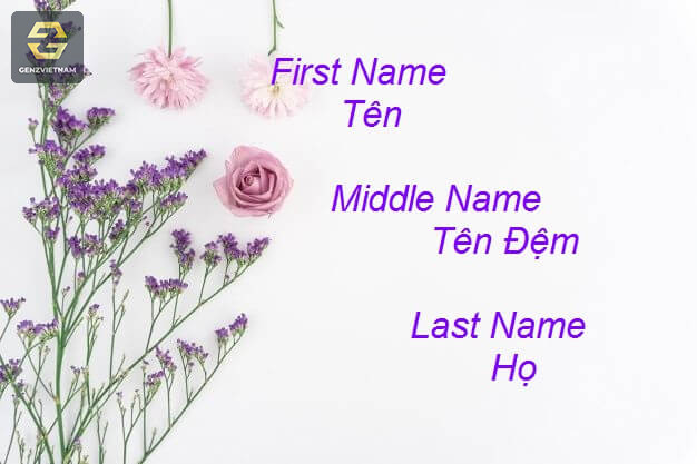 First Name là gì? Last Name là gì? Cách viết chuẩn xác