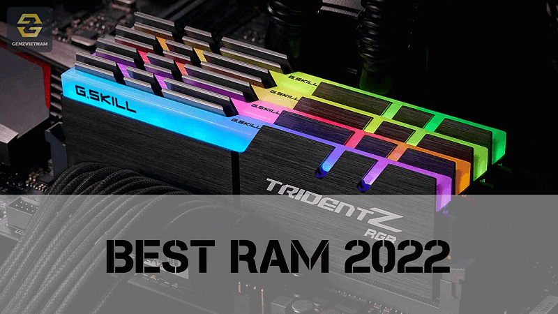 Top RAM 2022 - Genz Việt Nam