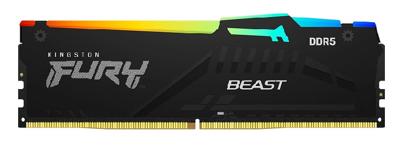 Kingston Fury Beast DDR5 - Genz Việt Nam